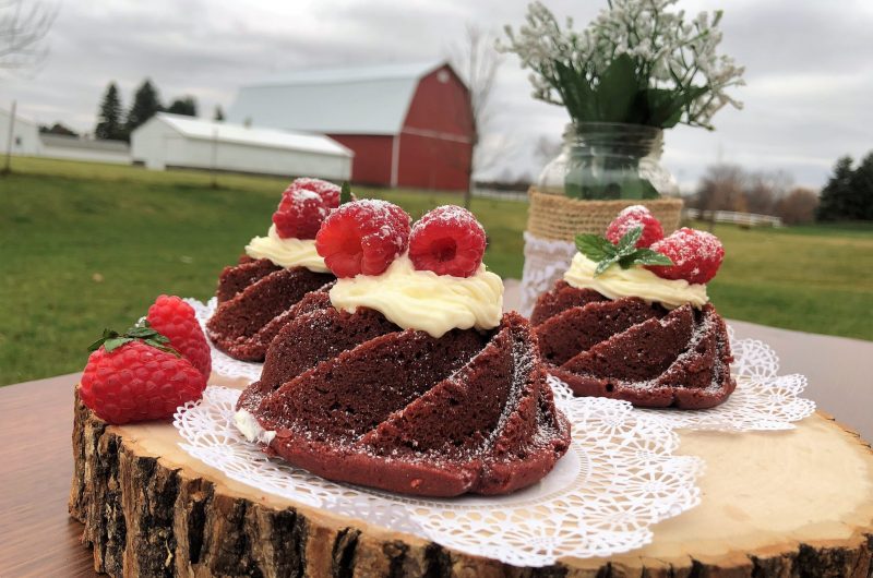 Red Velvet Mini Bundt Cake With cream cheese frosting