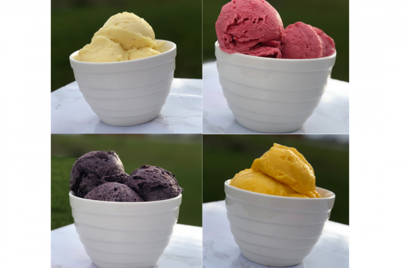 4 Easy Fruit Sorbet Recipes